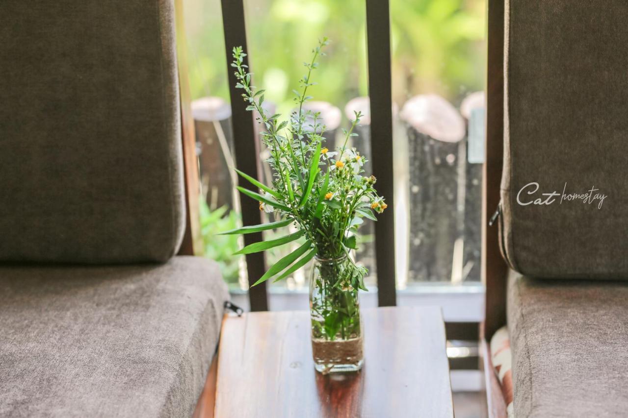 Cat Homestay เว้ ภายนอก รูปภาพ
