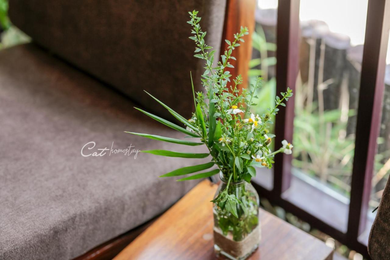 Cat Homestay เว้ ภายนอก รูปภาพ